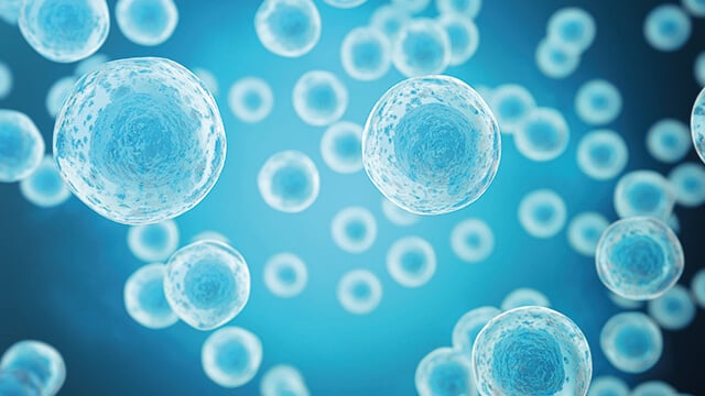 explore cells biotech home mobile
