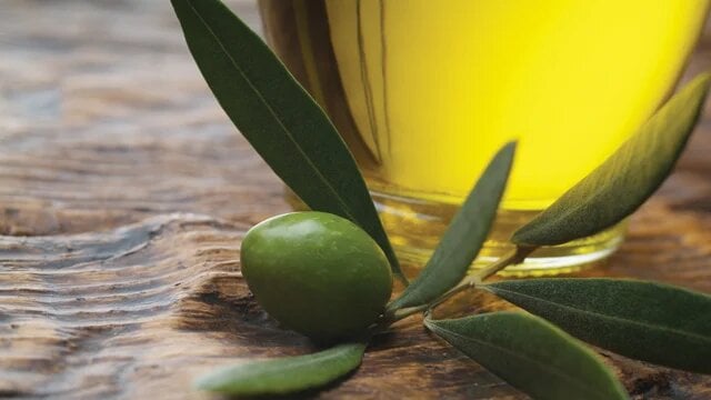 Primer plano de aceitunas frescas utilizadas en la fabricación de aceite de oliva