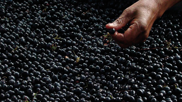 southafrica winery 640x360