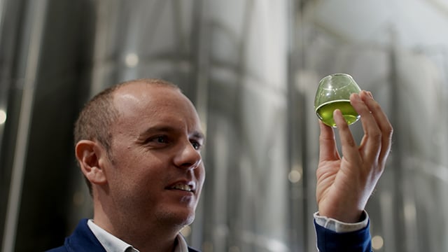 Olive oil separation