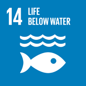 Objetivo 14 de Desarrollo Sostenible: Vida Submarina