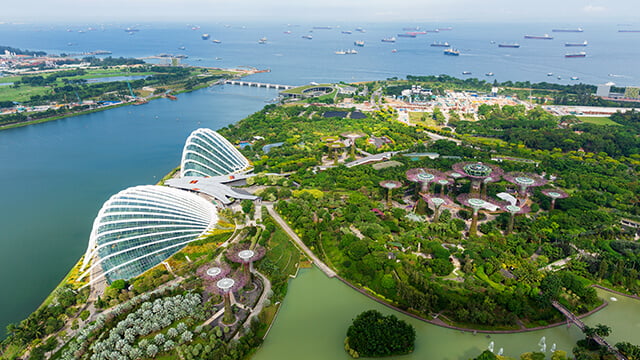 Singapore_case story.jpg